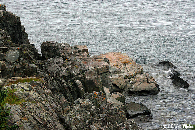 West Quoddy Head (Maine)