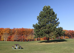 automne au parc