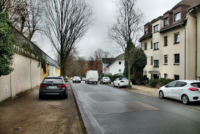 Kraspothstraße (Essen-Schonnebeck) / 21.01.2023