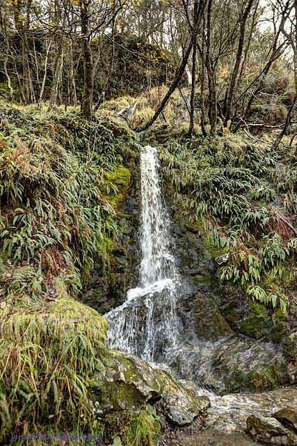 Glendalough 45