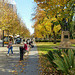 Adelaide North Terrace early on a winter afternoon