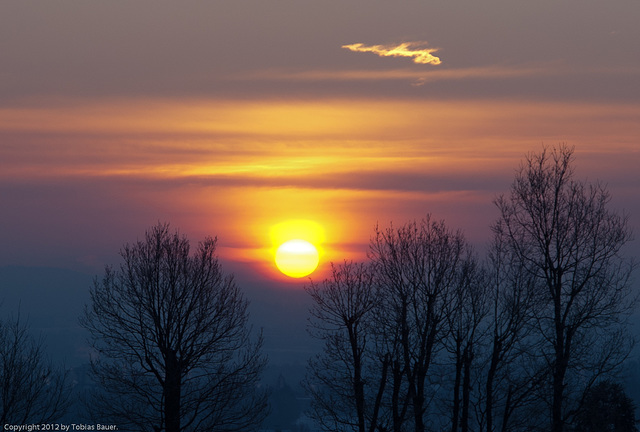 Winterlicher Sonnenaufgang