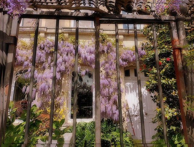 Bon vendredi / HFF à tous ❤️