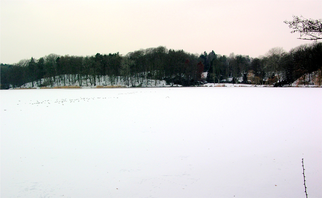 Außenmühlenteich