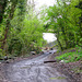 The track leading to the South Staffs Railway walk