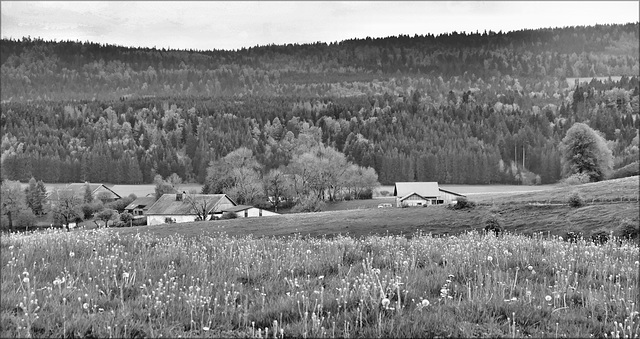 Orchamps-Vennes (25) 8 mai 2025.