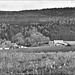 Orchamps-Vennes (25) 8 mai 2025.