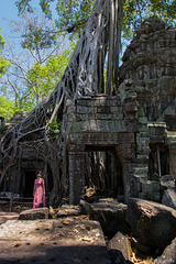 Angkor Thom (© Buelipix)