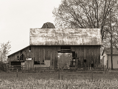 Barn
