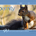 ipernity homepage with #1521