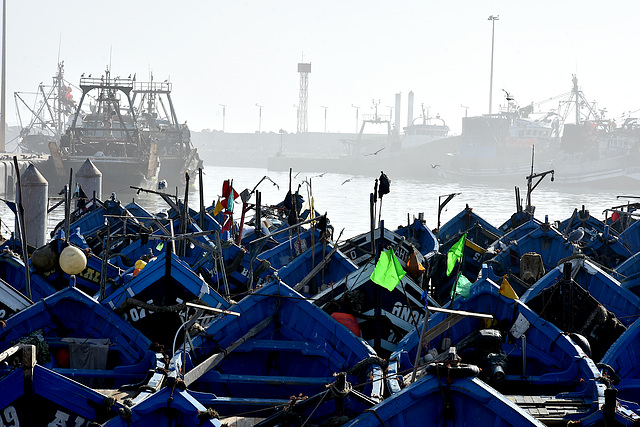 Essaouira  le port de pèche