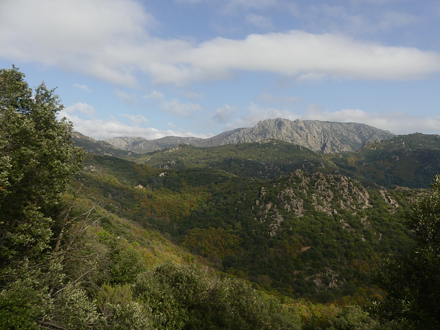 20241103 Montagne face Olargues (1)