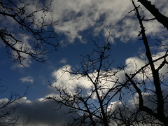 20241224 Col de Moutoune - Lac d'Avene (8)