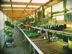 Green filtered Garden Centre
