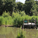 Lavender Pond Nature Reserve