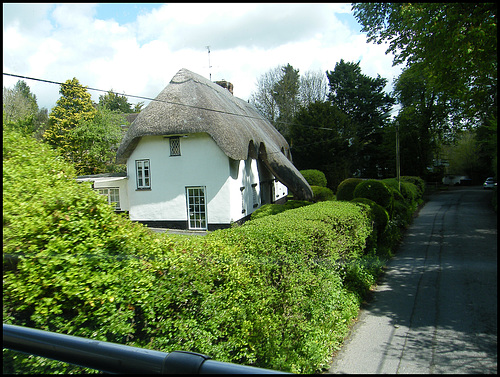 thatch overhang