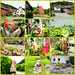 Bilder des Tages - 19.07.2025 - Hemmental-2.