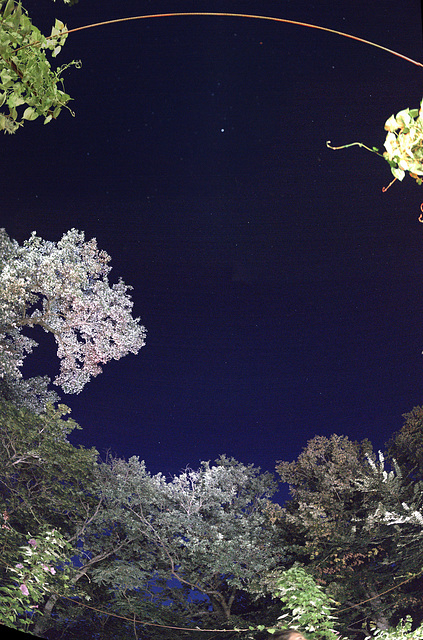 nuit, Chaumont sur Loire