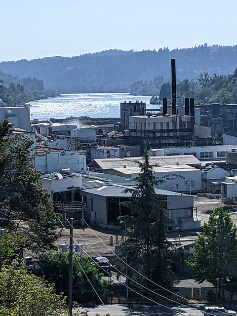 Looking up the Willamette River