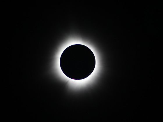 Solar Eclipse Totality with Solar Prominence