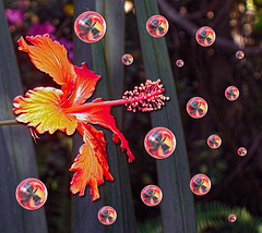 I'm Forever Blowing Bubbles ~ Slip Sliding Away Challenge #15 for the Come Slide With Me Group