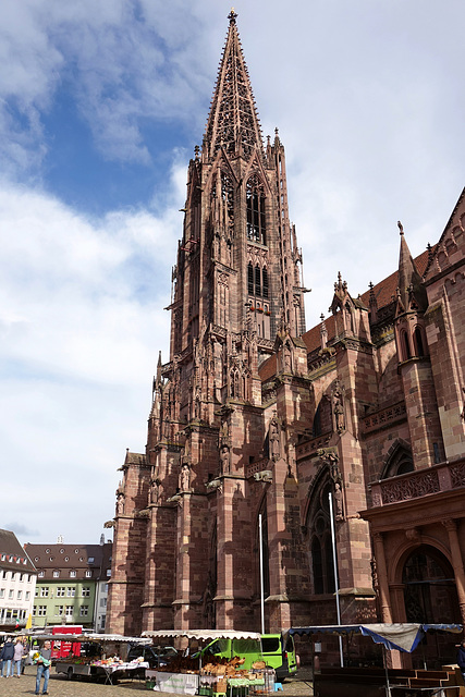 Freiburger Münster (Dom)