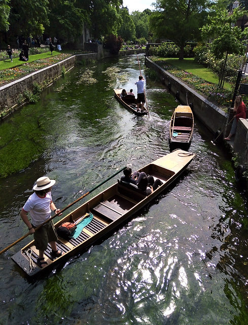 Punting, Canterbury, Great Stour river.