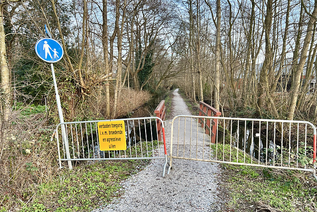 Path closed because of brooding and aggresive owls