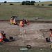 Suffolk dig day 1