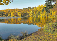 Waldsee Grube Fernie