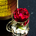 Rose 25/50 : In vino veritas
