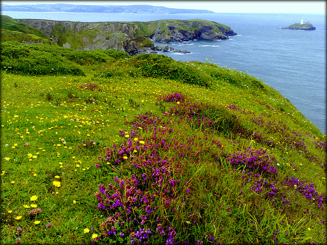 Godrevy