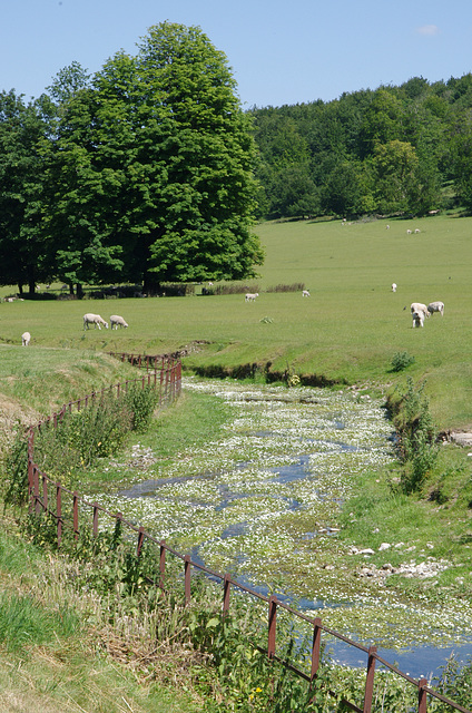 River Lavant