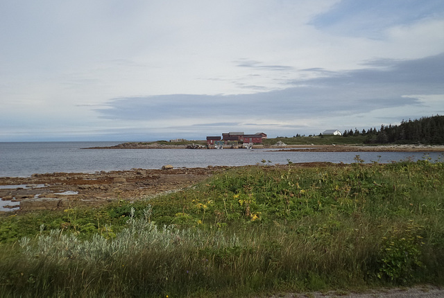 Splendeur de la côte ouest de Terre-Neuve