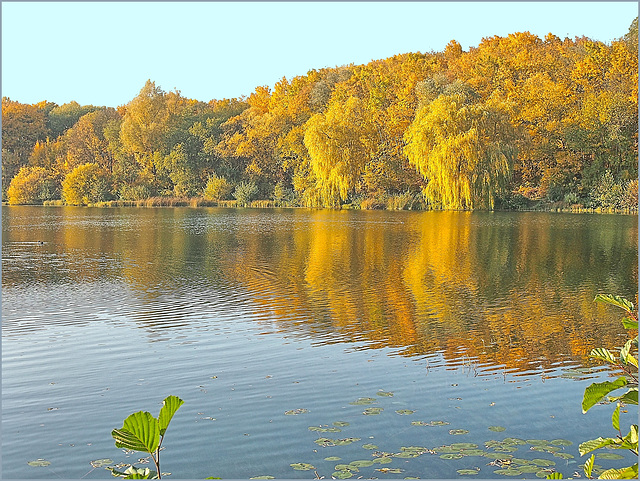 Waldsee Grube Fernie Waldsee Grube Fernie
