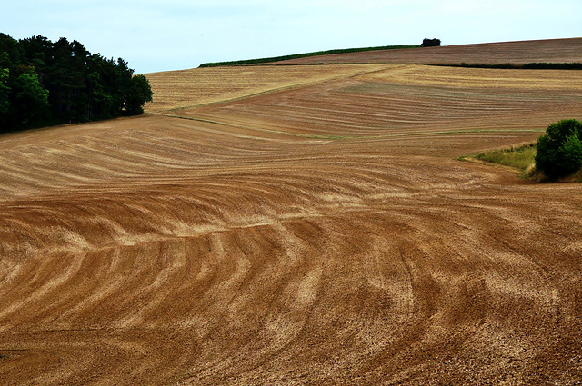 Früher Herbst - Early autumn