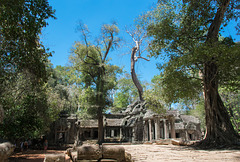 unterwegs in Angkor Thom - P.i.P. (© Buelipix)