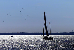 Segeltörn auf dem Bodden