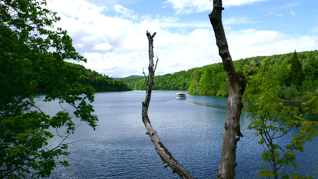 Kozjak