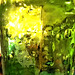 bottle glass green