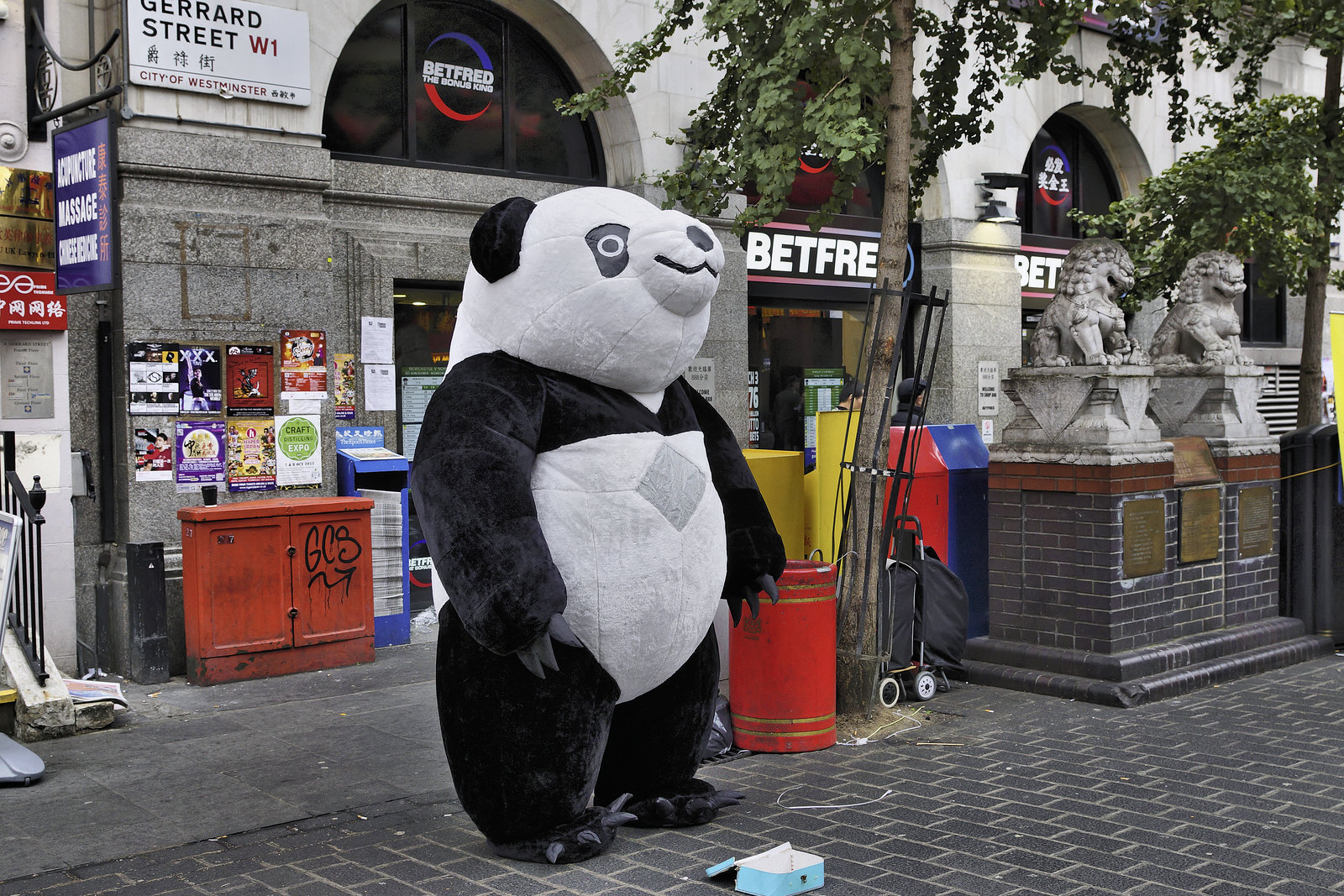 Will Work for Bamboo – Gerrard Street, Chinatown, London, England