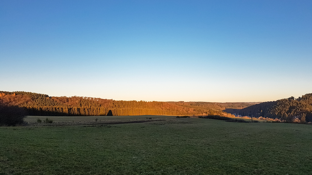 Blankenheim - In der Nähe des Schaafbachtales