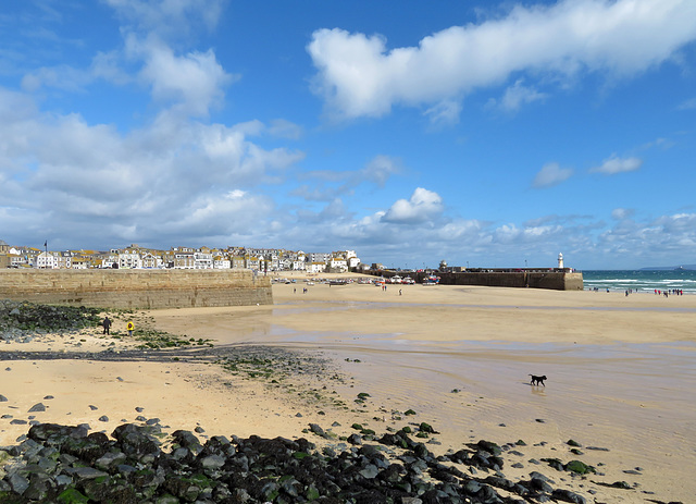 Harbour St. Ives