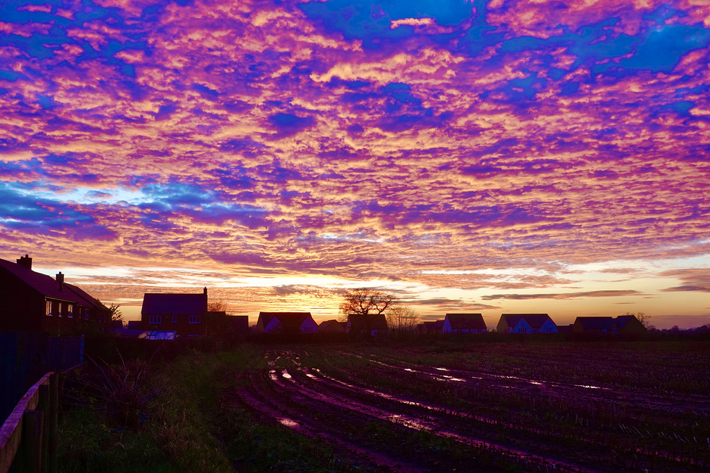 Fantastic sunset