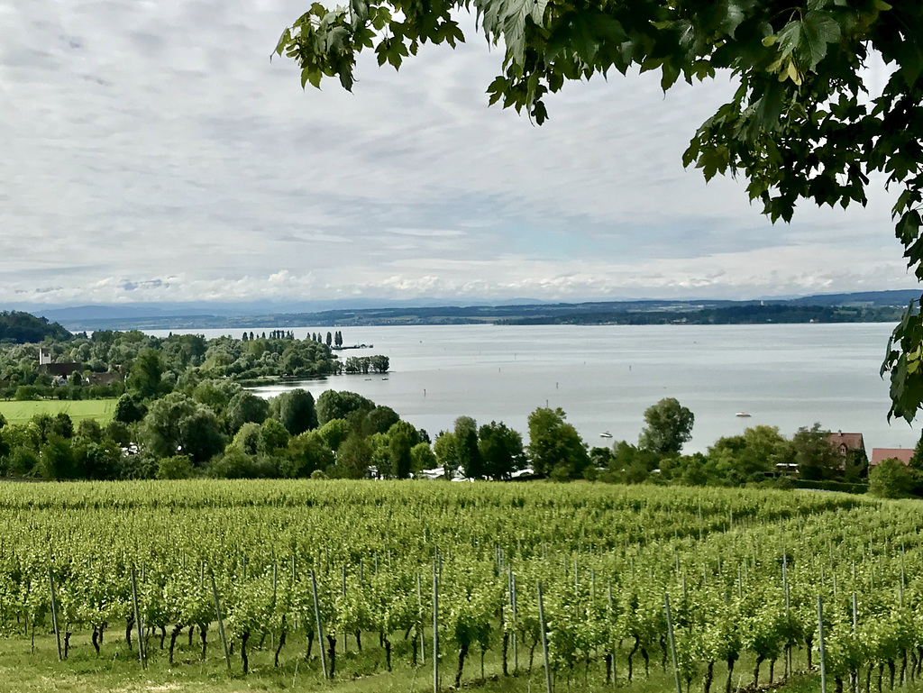 Am Bodensee