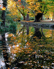 Christ Church Meadow, Oxford