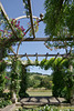 The Pergola and the South Downs