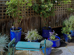 Gardening bench