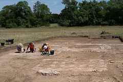 Suffolk dig day 5