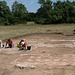 Suffolk dig day 5